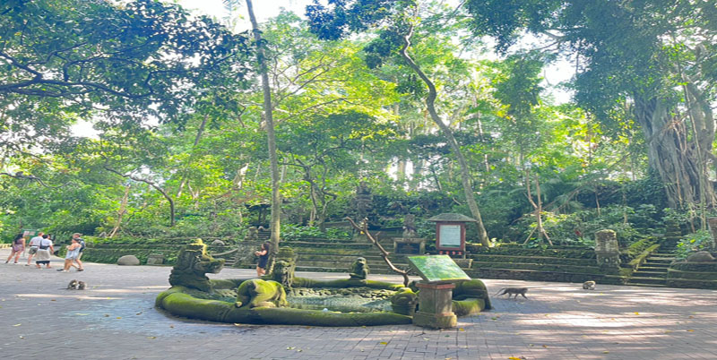 Ubud Monkey Forest